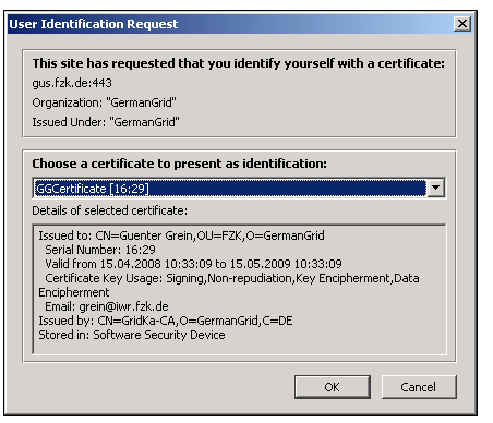 Browser prompts for the digital certificate