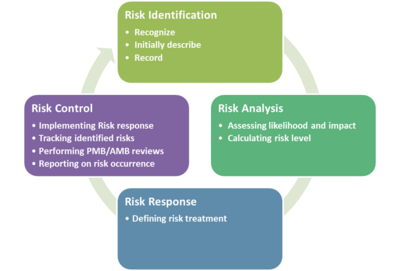Risk process.png