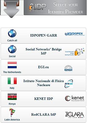 A subset of the Identity Providers supported by the CSGF